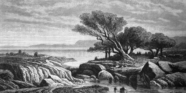 Western shore of the Dead Sea, extreme salinity, lake without outlet, lowest point on earth, mountain landscape, trees, rocks, travelling in the Near East, Israel, historical illustration 1887, Asia