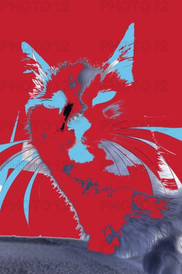 Michas Cats, art, mixed media, artist Michael Preyer, abstract cat portrait, portrait, cat head, painting, graphic, portrait of a cat, ears, whiskers, colour blocking, red with light blue, alienation, Germany, Europe