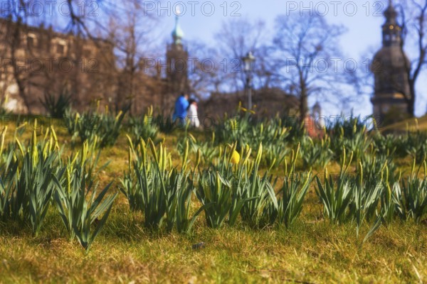 Spring at the Zwinger Pond