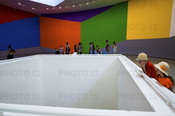 Guggenheim Museum, architect Frank Gehry, interior view, artist Sol Lewitt, Bilbao, Basque Country, Spain, Europe