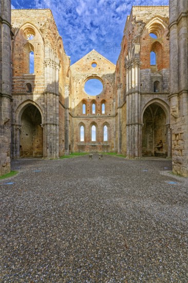 Transept and choir, ruins of the Cistercian Abbey of San Galgano, Abbazia San Galgano, Gothic, Chiusdino, Tuscany, Italy, Europe