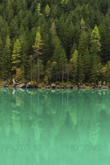 Stilluptal, Stiillup reservoir (1116m), Stillupgrund, Mayrhofen, reservoir lake, alpine mountain landscape, autumn colours, coniferous forest, water reflection, emerald green, Zillertal Alps, Tyrol, Austria, Europe