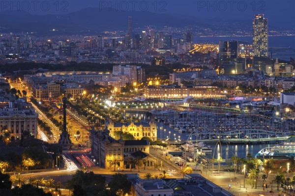 Aerial view of Barcelona city skyline with city traffic and port with yachts illuminated in the night. Barcelona, Spain, Europe