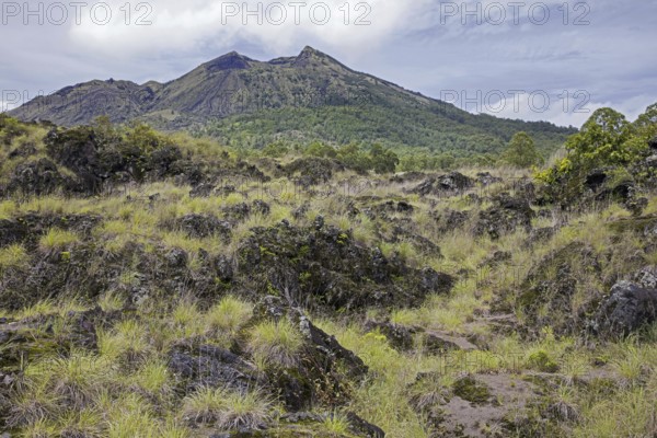 Lava field and caldera on Mount Batur, Gunung Batur, active volcano in the Bangli Regency, Bali, Indonesia, Asia