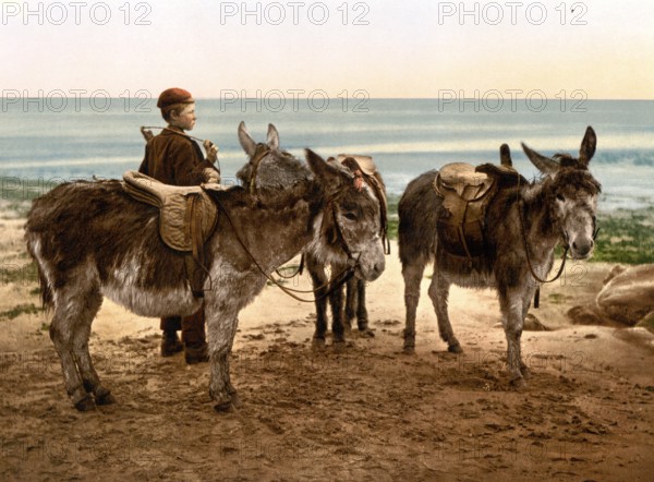 Day labourer waiting for work with his donkey, England, around 1890, Historic, digitally restored reproduction from a 19th century original, Day labourer waiting for work with his donkey, around 1890, Historic, digitally restored reproduction from a 19th century original