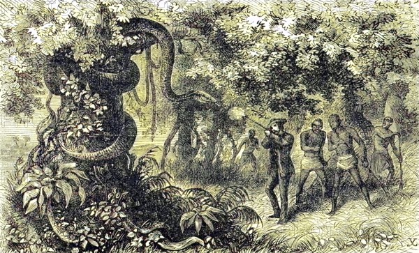 Hunting a strangler snake, white hunter with rifle shoots the animal, 1869, Botswana, Historic, digitally restored reproduction of a 19th century original, exact original date unknown, Africa