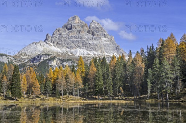 Mountain Drei Zinnen and larch trees in autumn colours around Lake Lago d'Antorno in the Tre Cime Natural Park, Dolomites, South Tyrol, Italy, Europe