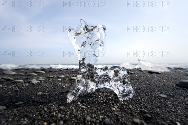 Ice, piece of ice on black sand beach, on black lava beach Diamond Beach, Southeast Iceland, Iceland, Europe