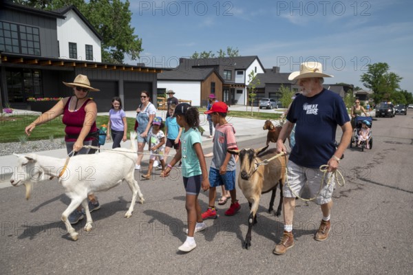 Wheat Ridge, Colorado, Accompanied by admiring children and adults, goats from 5 Fridges Farm parade to Lewis Meadows park where they will be allowed to graze for weed management and soil amendment