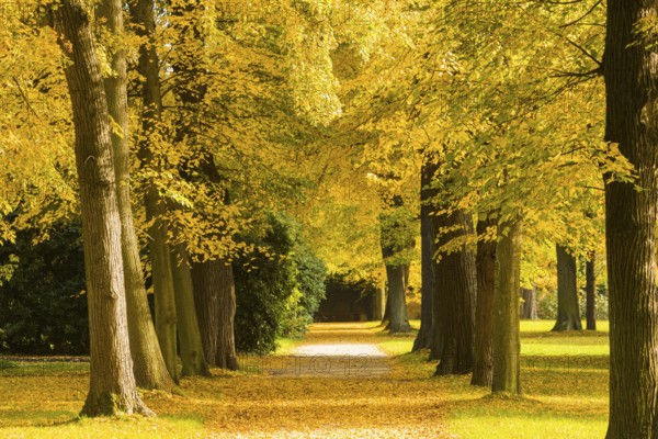 The former summer residence of the Saxon royal family is the largest chinoise palace complex in Europe. The palace park with more than 2, 000 shrubs and over 600 potted plants invites visitors to take eventful walks at any time of year