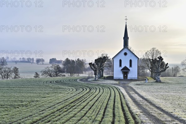 Roman Catholic St John's Chapel, behind Reussal in the early morning mist, Aristau, Freiamt, Canton Aargau, Switzerland, Europe