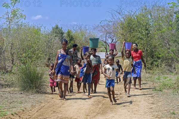 Malagasy women and children with buckets of water on their heads walking from river back to village Ambotomisay, Menabe, Central Highlands, Madagascar, Africa