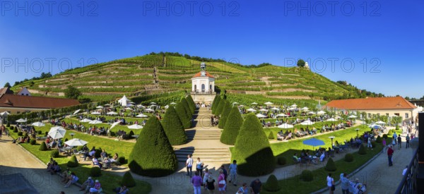 Wackerbarth Castle or Wackerbarths Ruh is a Baroque castle surrounded by vineyards in the Niederlößnitz district of Radebeul on the road to Meißen, which serves as the seat of the Saxon State Winery. The winery belongs to the Lößnitz vineyard and is located in the Radebeuler Johannisberg vineyard