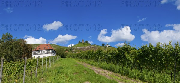 Hoflößnitz Winery in Radebeul