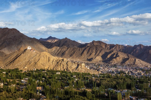 View of Leh town with Namgyal Tsemo gompa (Tibetan Buddhist monastery) and ruins of Namgyal Tsemo fort. Leh, Ladakh, India, Asia