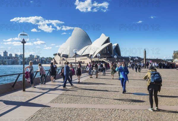 Sydney opera, Sydney, New South Wales, Australia, Oceania