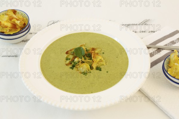 Swabian cuisine, cress soup with crisps, cress, plate with green cream soup, soup plate, garnished with herbs, hearty soup, bowl with crisps, vegetarian, healthy, salty, cooking, typical Swabian cuisine reinterpreted, traditional cuisine, food photography, studio, cloth napkin, tea towel, writing, letters, Germany, Europe