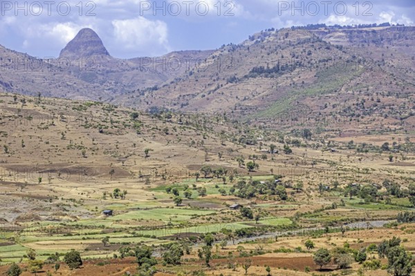 Countryside showing farms with green fields in barren landscape along the road from Bahir Dar to Gondar in Northern Ethiopia