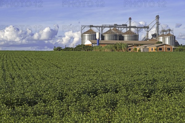 Farm with large Comil silos to store harvested soyabeans, soya beans in the middle of soybean fields in rural Alto Paraná, Paraguay, South America