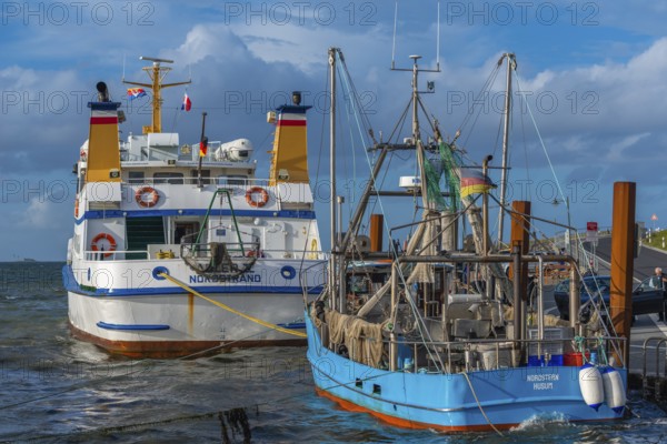 Ferry harbour Strucklahnungshörn, peninsula Nordstrand, fishing cutter, excursion boat, North Sea, sunshine, North Frisia, Schleswig-Holstein, Germany, Europe