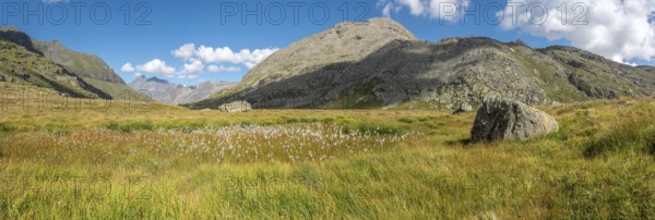 Valley in the rocky mountains of the Italian Alps in the Gran Paradiso National Park. Panoramic view, panorama. Valsavarenche, Aosta, Italy, Europe