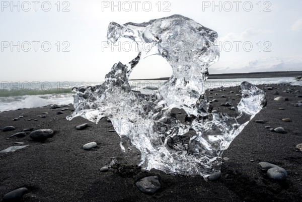 Ice, piece of ice on black sand beach, on black lava beach Diamond Beach, Southeast Iceland, Iceland, Europe