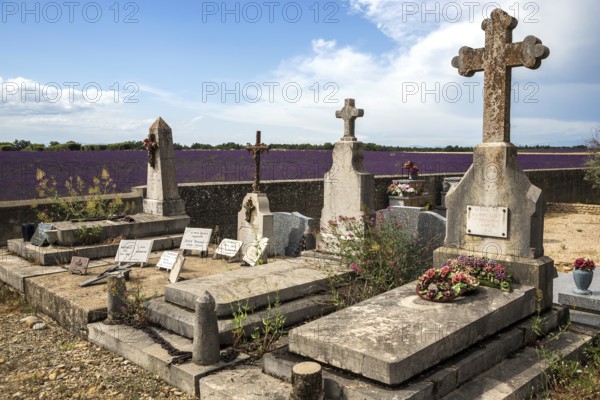 Graves, gravestones, cemetery in Puimoisson, Provence, region Provence-Alpes-Côte d'Azur, department Alpes-de-Haute-Provence, France, Europe