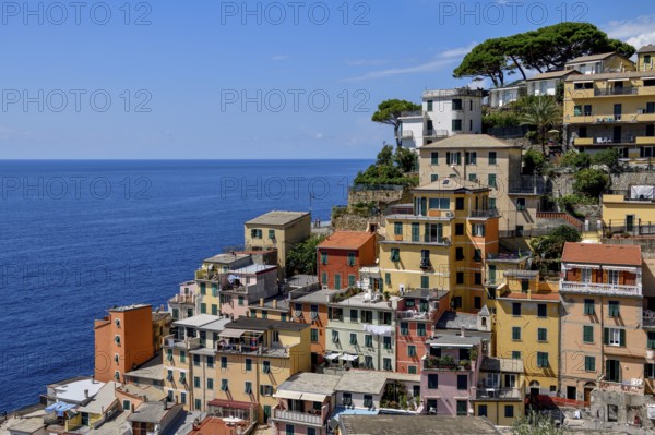 Fishing village of Riomaggiore, village view, Cinque Terre, province of La Spezia, Liguria, Italy, Europe