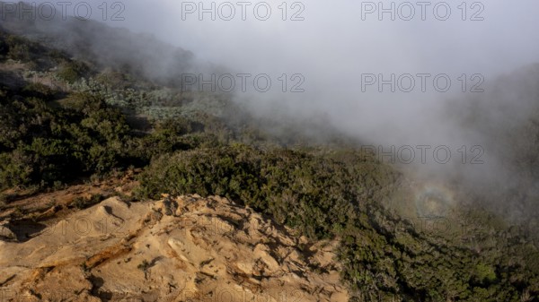 Clouds of fog, yellow earth, erosion, near Arguamul, La Gomera, Canary Islands, Spain, Europe