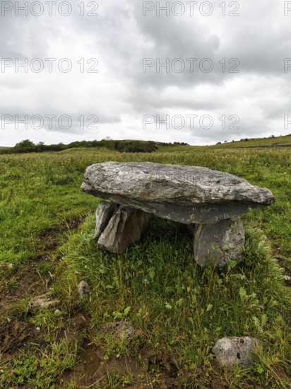 Unknown dolmen in a meadow, County Clare, Ireland, Europe