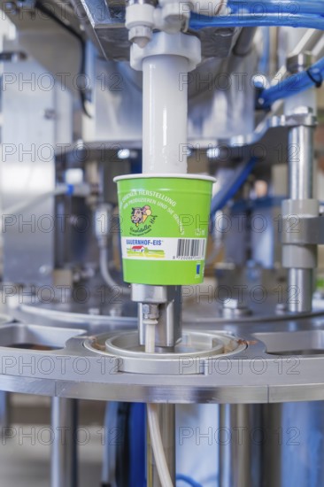 Ice cream production with machine that fills green cups, ice cream production Haselstaller Hof, Calw district, Black Forest, Germany, Europe