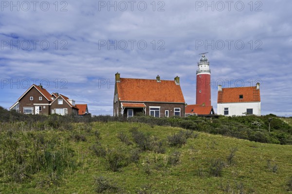 Lighthouse Eierland with houses, De Cocksdorp, Texel, West Frisian Islands, province North Holland, Netherlands