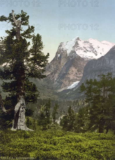 Wetterhorn, general view, Bernese Oberland, Switzerland, Historic, digitally restored reproduction from a 19th century original, Record date not stated, general view, Bernese Oberland, Switzerland, Historic, digitally restored reproduction from a 19th century original, Record date not stated, Europe