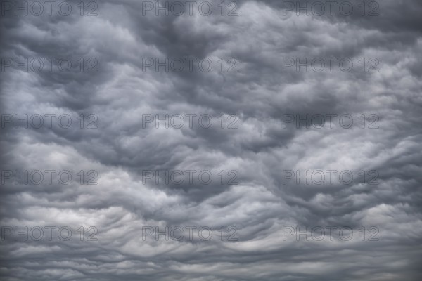 Dramatic cloud formation, format-filling, wavy, extremely structured, closed cloud cover, cloud base, district of Constance, Baden-Württemberg, Germany, Europe