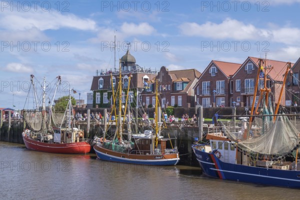 Cutter harbour Neuharlingersiel, shrimp cutter, North Sea, Harlingerland, Lower Saxony, Germany, Europe