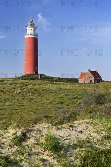 Lighthouse Eierland with houses, De Cocksdorp, Texel, West Frisian Islands, province North Holland, Netherlands