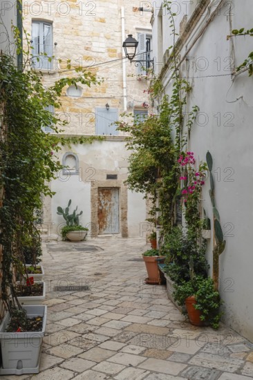 Picturesque Mediterranean alley with plants and old buildings in a quiet atmosphere, Polignano a Mare, Apulia