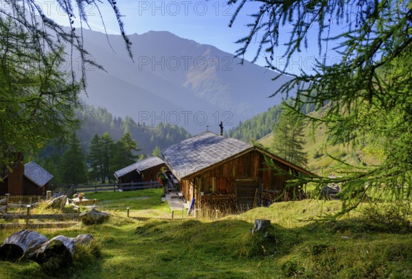 Jörgenalm, Ködnitztal, Hohe Tauern, near Kals am Großglockner, East Tyrol, Austria, Europe