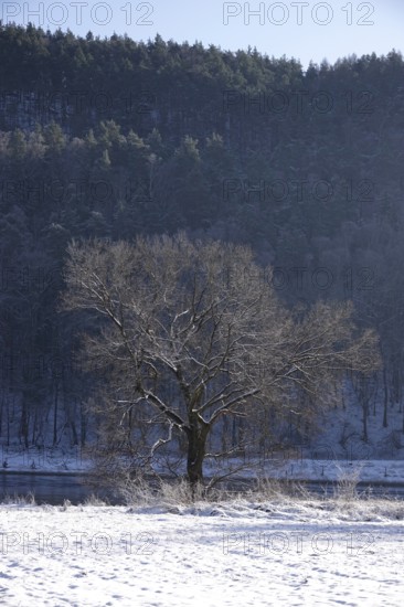 Elbe Sandstone Mountains in winter, Saxony, Germany, Europe