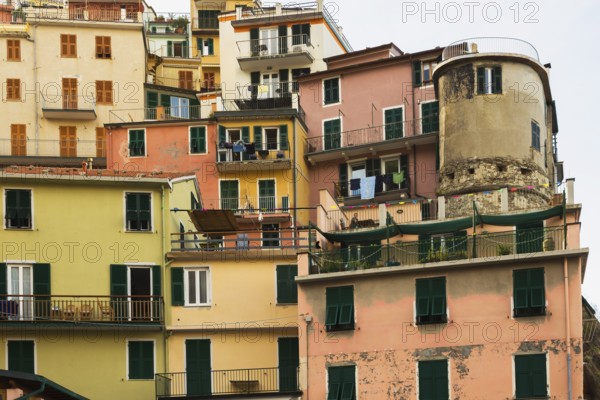 Colourful pink, yellow, and olive green stucco cladded multi story residential apartment buildings in Manarola village, Cinque Terre, La Spezia, Italy, Europe