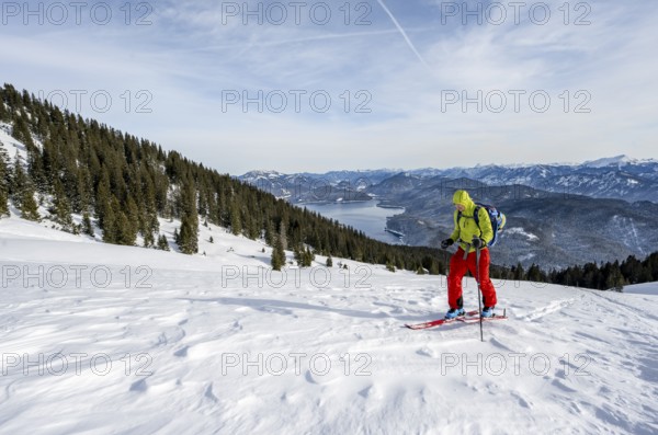 Ski tourers climbing Simetsberg, view of Walchensee, Estergebirge, Bavarian Prealps, Bavaria Germany