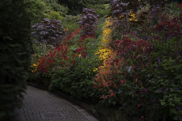 Flowers and shrubs in bloom, Trauttmansdorff Castle, Botanical Gardens, Merano, Meran, South Tyrol, Autonomous Province of Bolzano, Italy, Europe