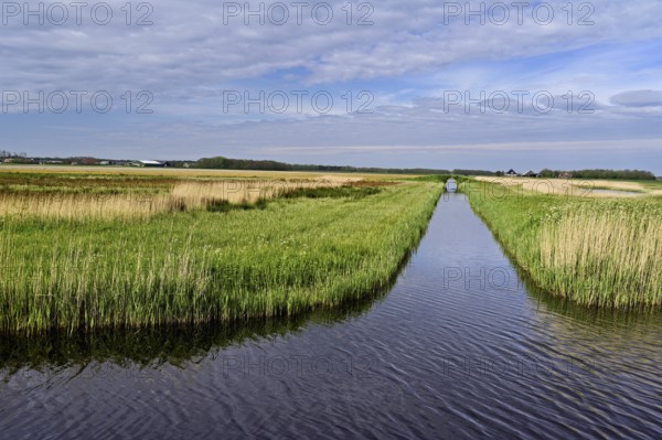 Man-made drainage canal, Texel, West Frisian Island, Province of North Holland, Holland Netherlands