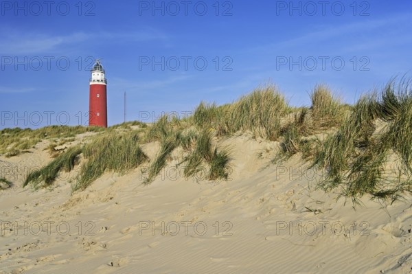 Eierland lighthouse with dunes, De Cocksdorp, Texel, West Frisian Islands, Province of North Holland, Netherlands