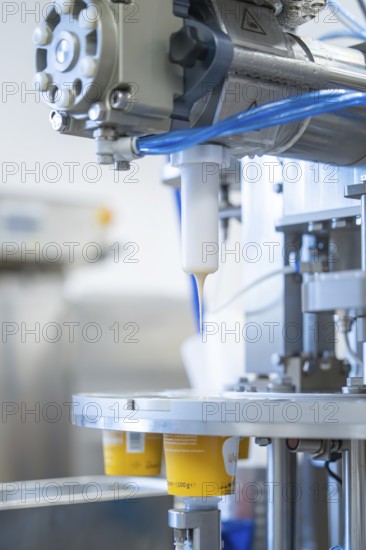 Machine fills white yoghurt into cups on a production line, ice cream production Haselstaller Hof, Calw district, Black Forest, Germany, Europe