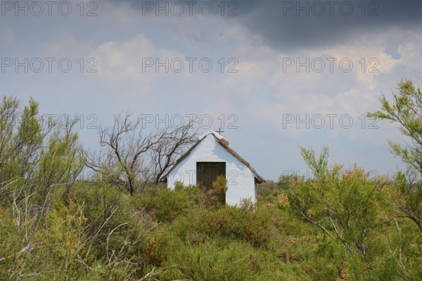 Small thatched white church, amidst vegetation and cloudy sky, summer, Fielouse, Arles, Camargue, France, Europe