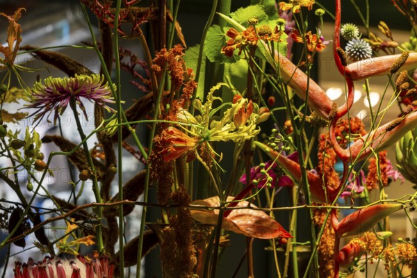 Artistic flower arrangements and decorations, German Floristry Championships, Berlin, Germany, Europe