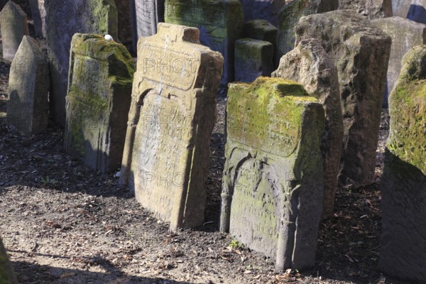 The Old Jewish Cemetery in the Josefov district is one of the most historically significant Jewish cemeteries in Europe. It contains over 12, 000 gravestones and presumably the remains of 100, 000 people, Prague, Czech Republic, Europe