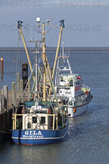 Fishing cutter, SAR boat, harbour, Strucklahnungshörn, Nordstrand, North Frisia, Schleswig-Holstein, Germany, Europe