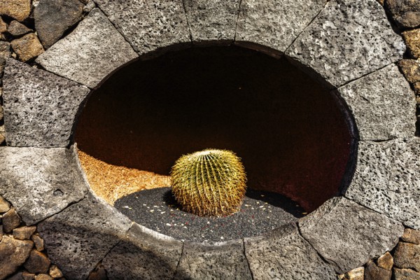 2016, Guatiza, Lanzarote, Jardin de Cactus by Cesar Manrique, ESP, Spain, Canary Islands, Canary Islands, Atlantic Ocean, Lanzarote, biosphere reserve, volcano, volcanism, volcanic island, island, recording date, Europe